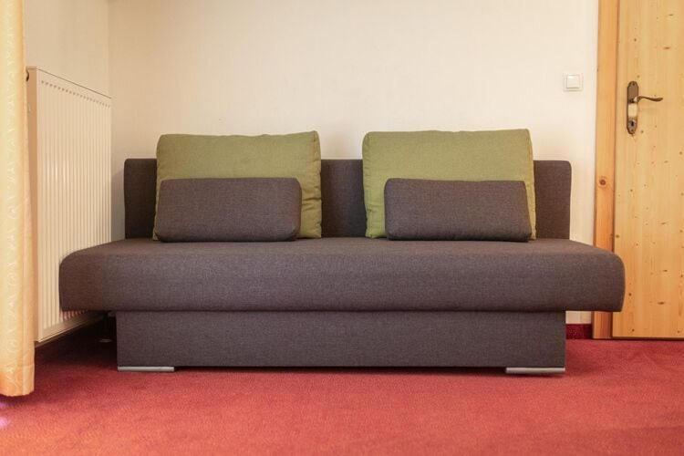 Apartment In Fuegen With A Shared Wellness المظهر الخارجي الصورة